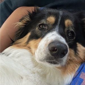 Meet your Posher, Aiden